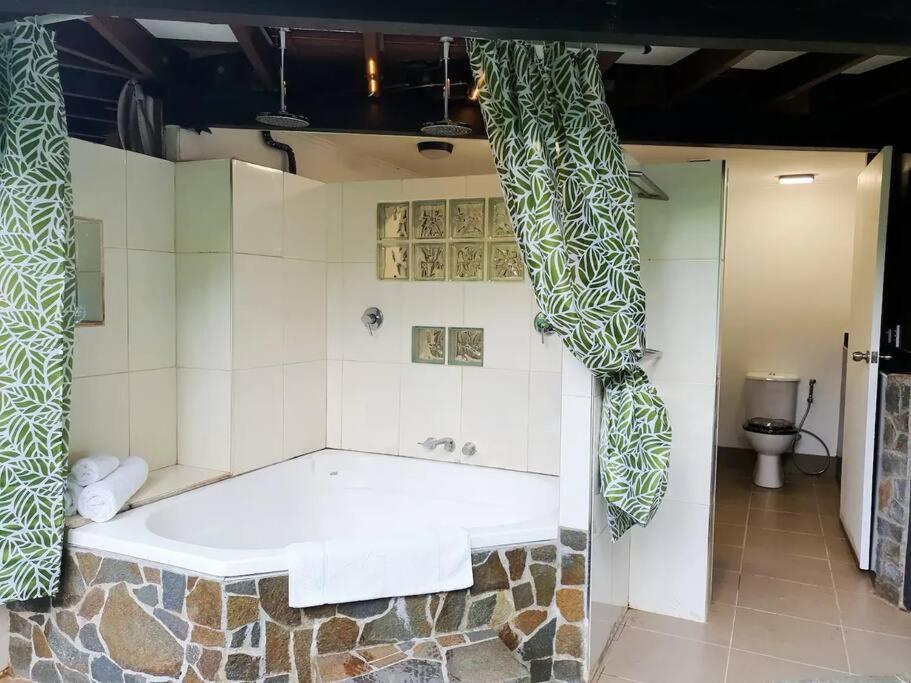 Treeverb Beach House - Daintree Cow Bay Екстериор снимка